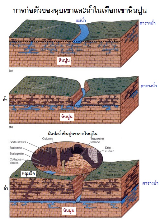จำนวนโครงการ 13: จมแม่น้ำคือ
                                    "ร่อง"
                                    ยั่วระดับน้ำใต้ดินจม