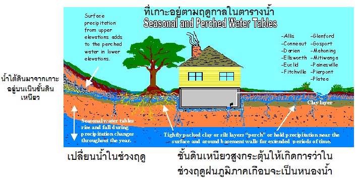 จำนวนโครงการที่ 16:
                                    บ้านในชั้นดินเหนียวที่มีน้ำแข็งอยู่บนนั้น