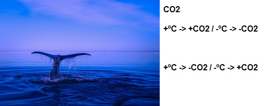 Himmel, Meer und Schwanzflosse eines Walfischs
                    [2]: Das CO2-Verhalten: Je wärmer das Klima, desto
                    mehr CO2 ist in der Atmosphäre, je kälter das Klima,
                    desto mehr CO2 ist im Meer gespeichert, deswegen
                    wächst dann dort fast nichts, aber der Fischreichtum
                    ist dann um so grösser...