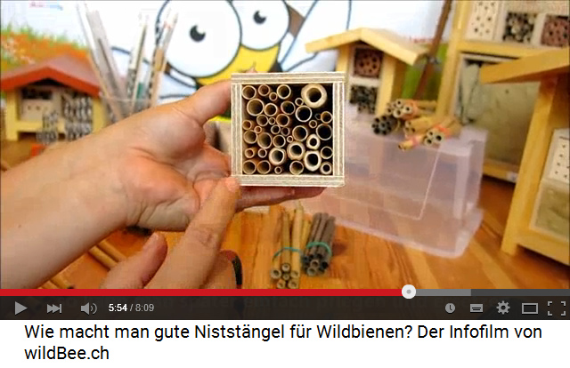 Nistpl�tze f�r Wildbienen
                                          mit Schilfrohr oder
                                          Bambusrohr