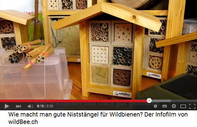 Wildbienenhaus f�r
                                          Wildbienen mit Schilfrohr und
                                          Bambusrohr