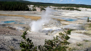 USA: Tourist in kochend
                                      hei�em Geysir gestorben (Bild:
                                      AP)