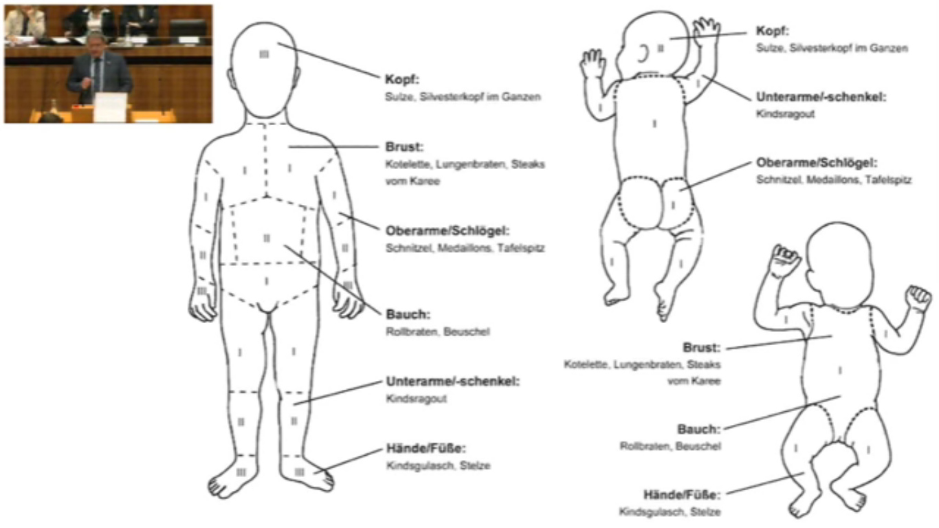 Karte der
                                Babyfleisch-Nutzung der Gr�nen aus
                                �sterreich